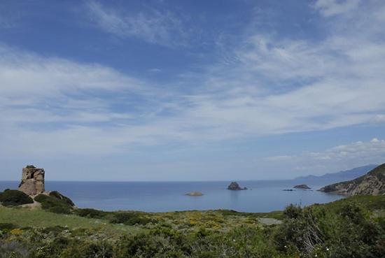 Casa Coga *